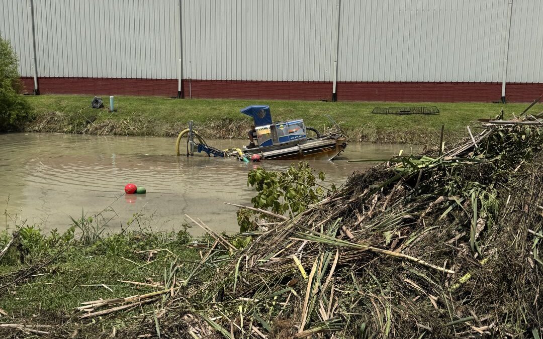 What to Expect During Our Pond Dredging Process: From Quote to Completion